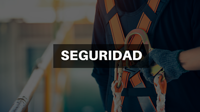 SEGURIDAD opt